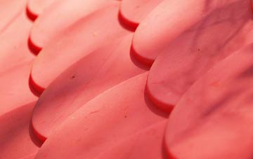 Risingbrook plastic roof costs